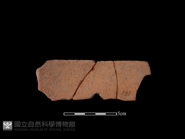 陶片藏品圖，第2張