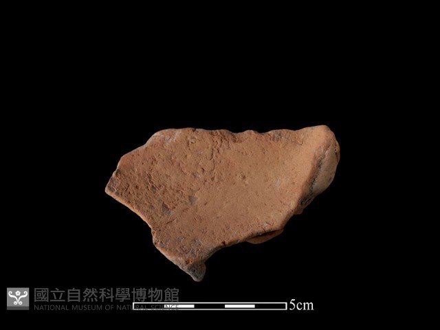 連杯形器藏品圖，第2張