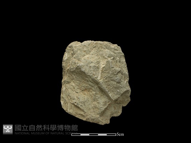 斧鋤形器藏品圖，第1張