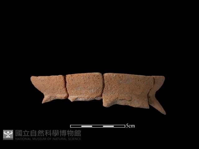 陶罐藏品圖，第2張