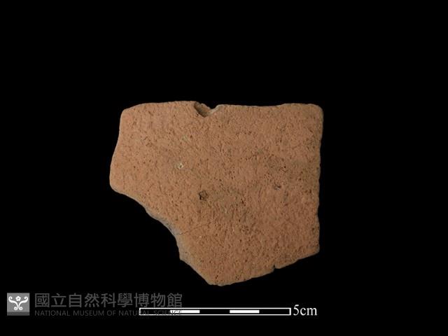 陶片藏品圖，第1張