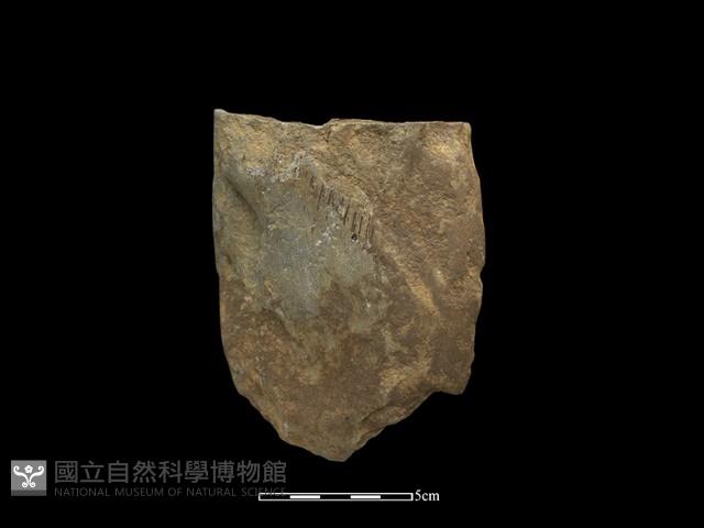 磨製斧鋤形器藏品圖，第2張