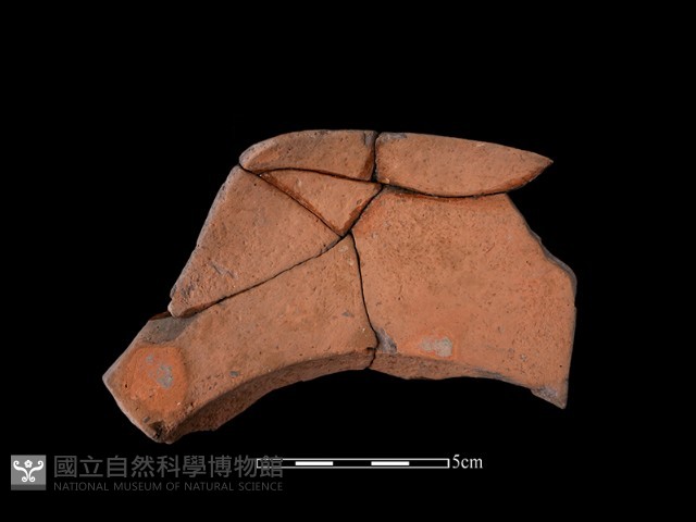 連杯形器藏品圖，第1張