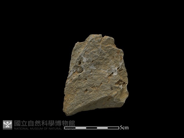斧鋤形器藏品圖，第1張