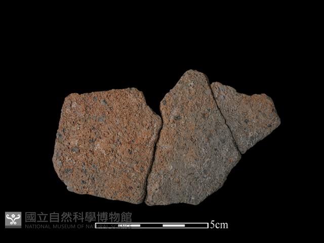 陶片藏品圖，第2張