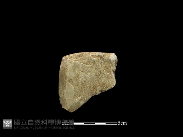 錛鑿形器藏品圖，第1張