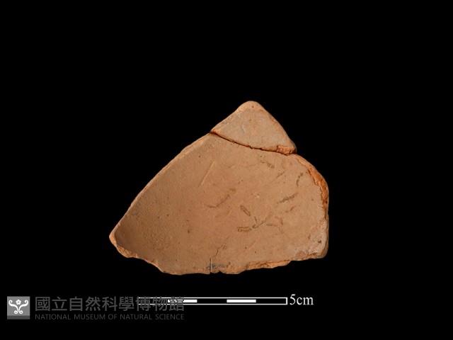 連杯形器藏品圖，第2張