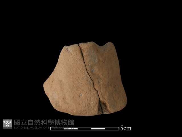陶片藏品圖，第1張