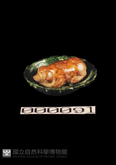 動物盤藏品圖，第1張
