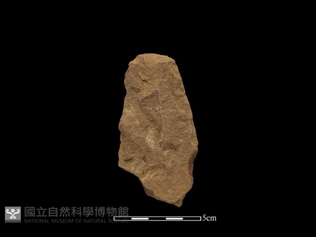 斧鋤形器藏品圖，第1張