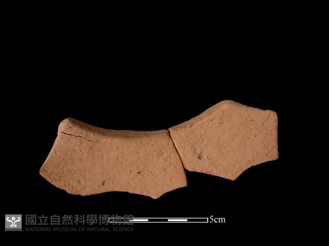 連杯形器藏品圖，第2張