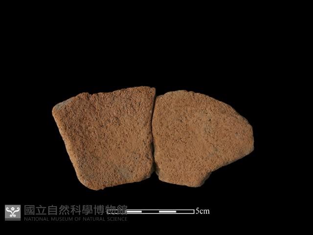 陶罐藏品圖，第2張