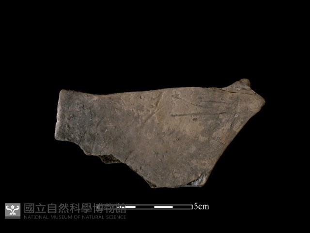 豆形器藏品圖，第1張