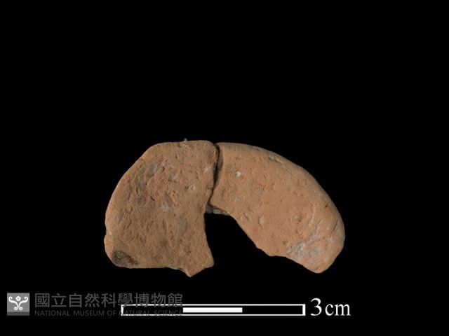 豆形器藏品圖，第1張