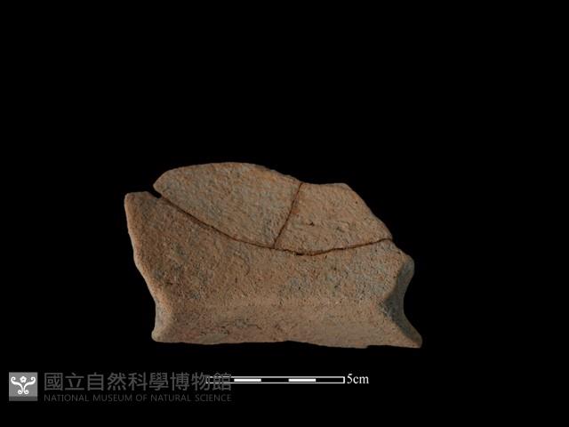 Accession Number:DZD-2015-061 Collection Image, Figure 2, Total 2 Figures