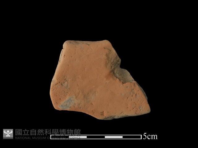 連杯形器藏品圖，第1張