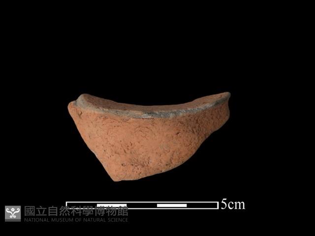 豆形器藏品圖，第1張