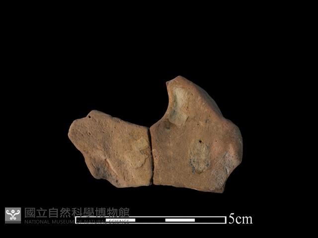 陶片藏品圖，第2張