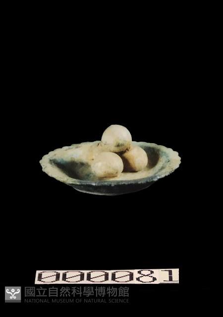 糕果盤藏品圖，第1張