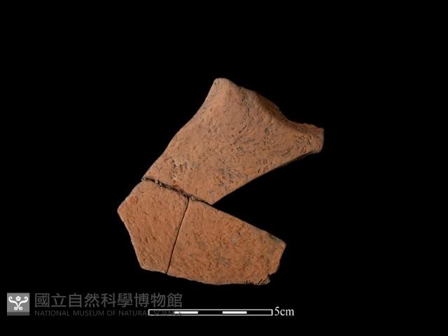 連杯形器藏品圖，第1張