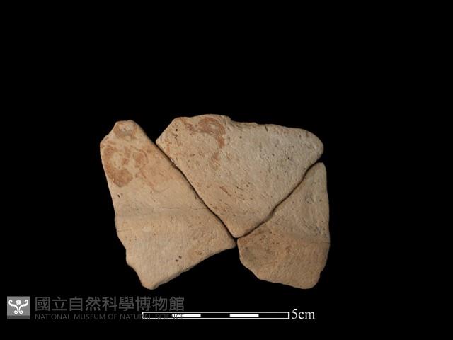 陶片藏品圖，第1張