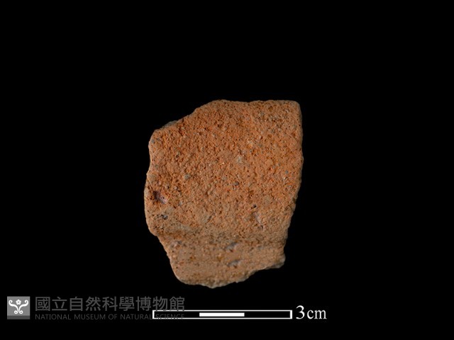 陶罐藏品圖，第2張