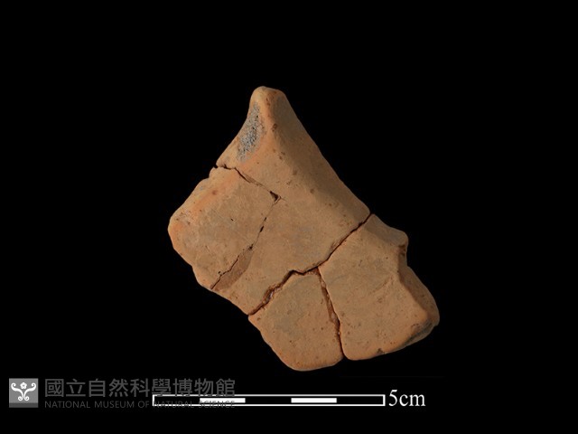 連杯形器藏品圖，第2張
