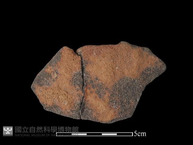 陶片藏品圖，第1張