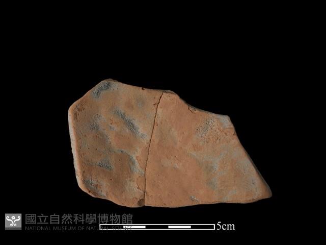 陶片藏品圖，第1張