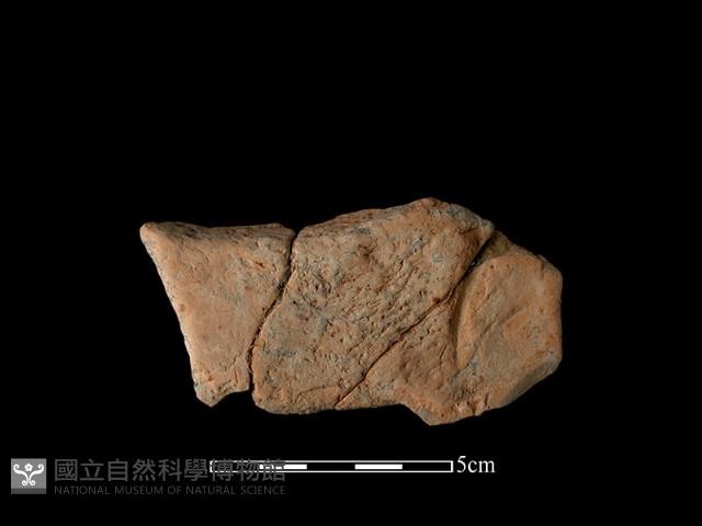 連杯形器藏品圖，第1張