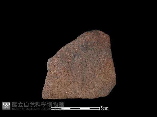 陶片藏品圖，第2張