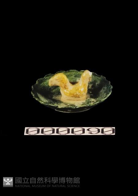 動物盤藏品圖，第1張