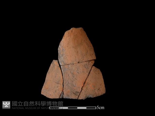 陶片藏品圖，第2張