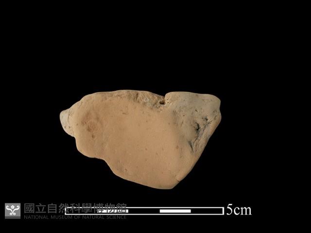 連杯形器藏品圖，第1張