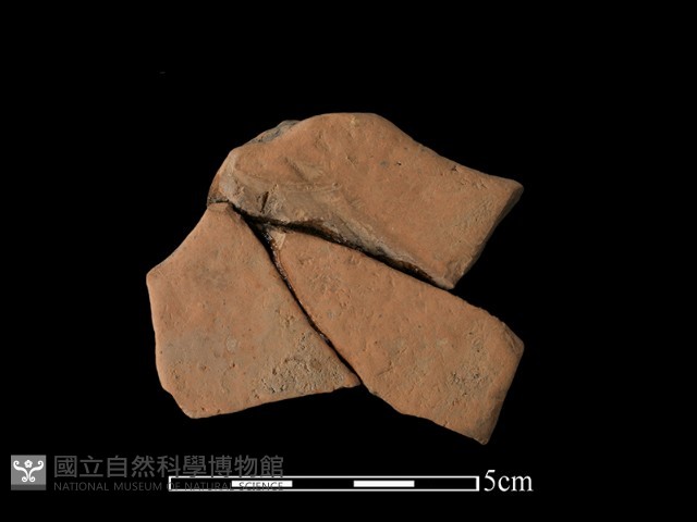 連杯形器藏品圖，第2張