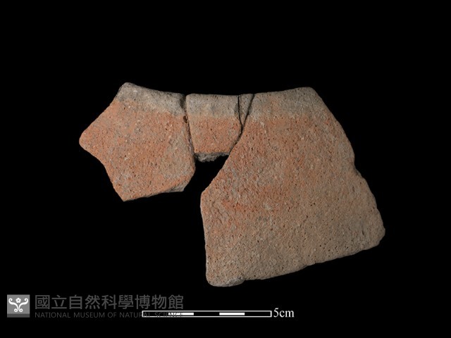 陶片藏品圖，第1張