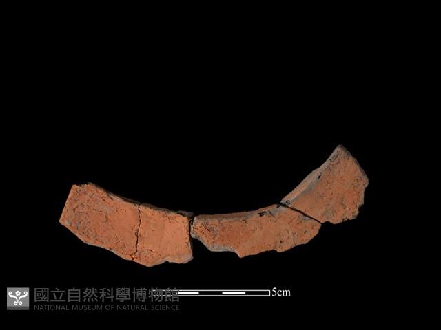 連杯形器藏品圖，第2張