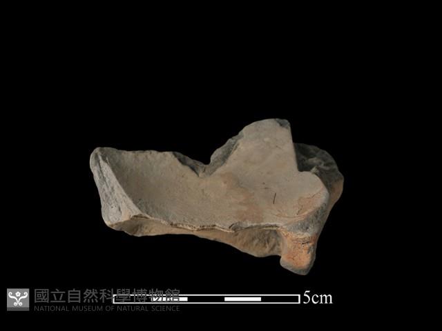 連杯形器藏品圖，第2張