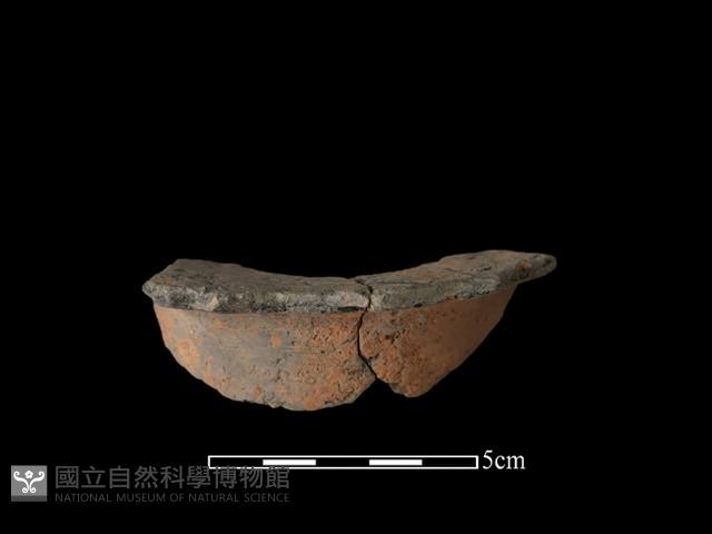 豆形器藏品圖，第1張