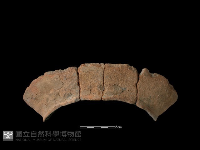 陶罐藏品圖，第1張
