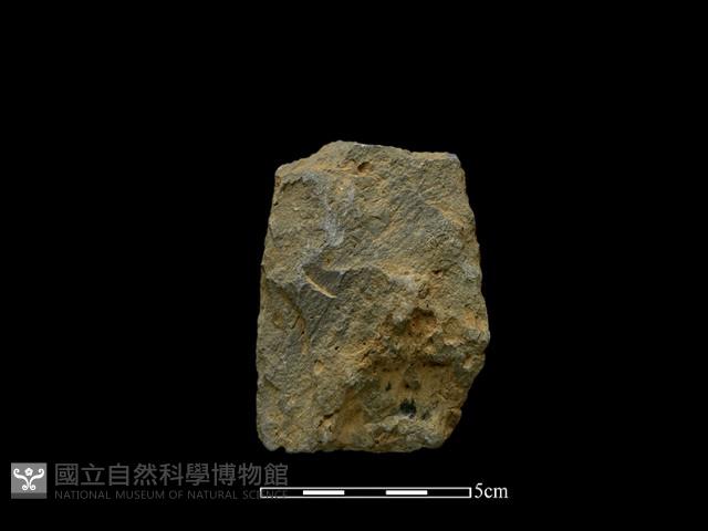 斧鋤形器藏品圖，第2張