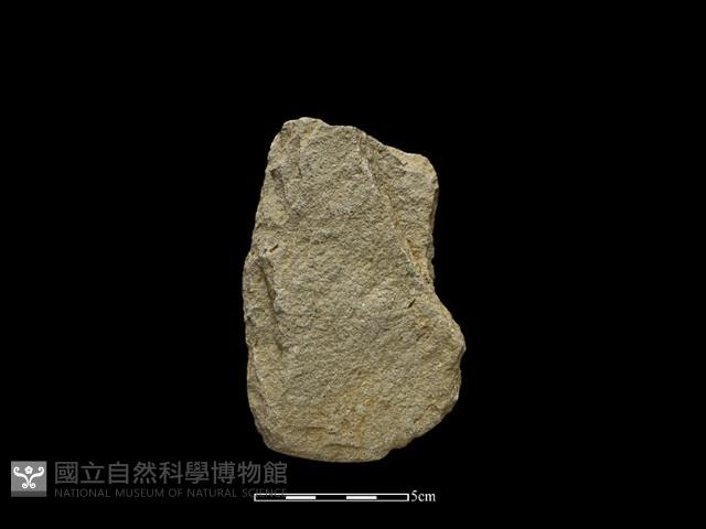 斧鋤形器藏品圖，第2張