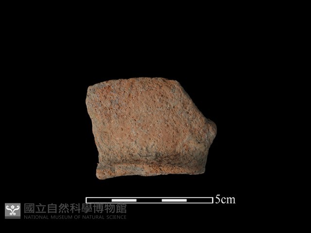 陶罐藏品圖，第2張