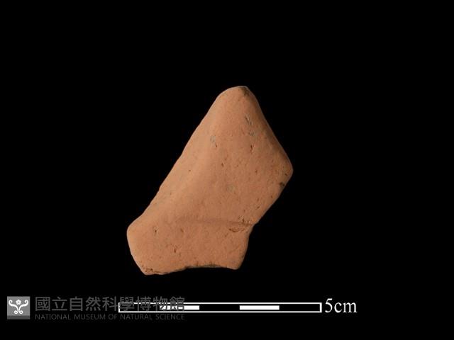 連杯形器藏品圖，第1張