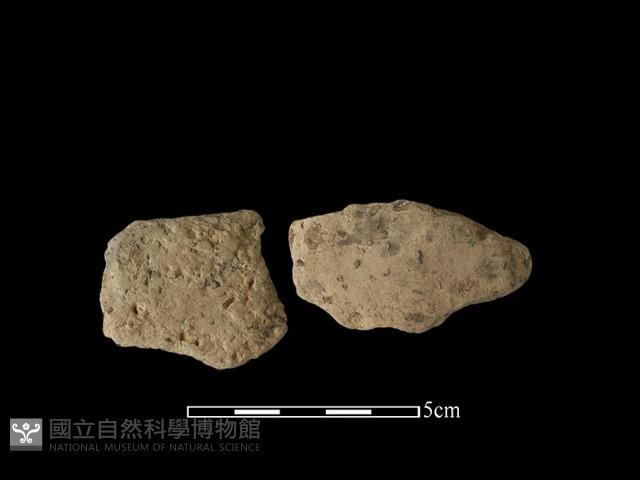 陶片藏品圖，第1張