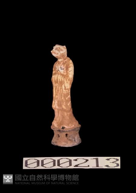加彩虎甬藏品圖，第6張