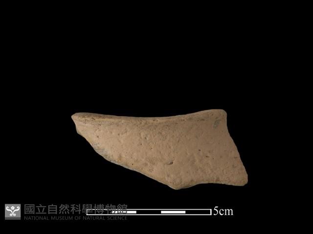 豆形器藏品圖，第2張