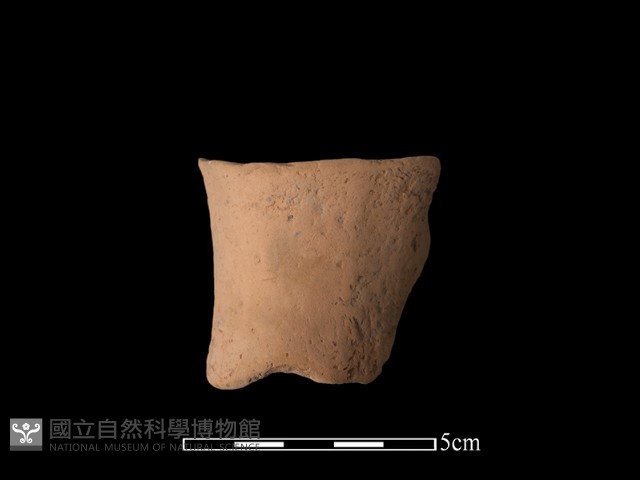 豆形器藏品圖，第2張