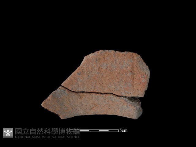 陶罐藏品圖，第2張
