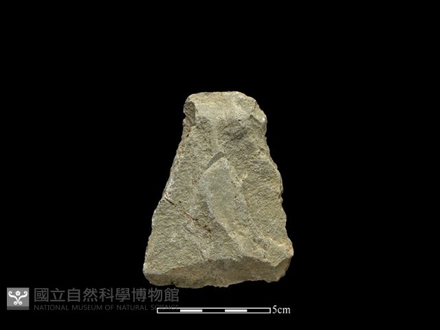 斧鋤形器藏品圖，第1張